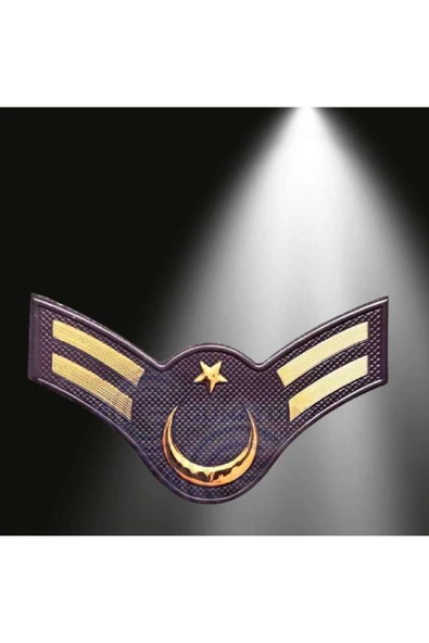Jandarma Astsubay Çavuş 3d Arması,2025 Yeni Tip Cırtlı,Standart Ölçü,1.sınıf Plastik Ultra Kaliteli