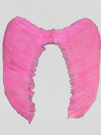 Mega Boy Pembe Renk Tüylü Melek Kanadı - 2