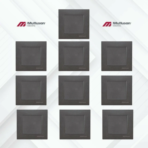 RİTA FÜME ANAHTAR (VİDALI) ÇERÇEVE DAHİL 10 LU PAKET ürün görseli 1