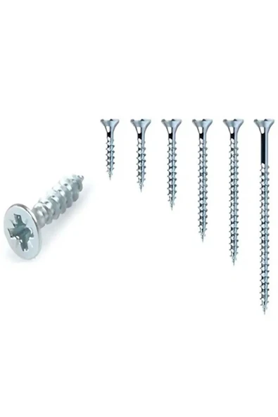 BOLTER Ağaç Ve Sunta Vidası Seti – 4 Mm Çap / Toplam 450 Vida / 9 Boy (16-70 MM) - Resim 3