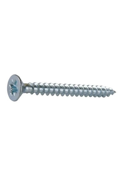 BOLTER Ağaç Ve Sunta Vidası 4,0X25 Mm Yhb Sunta Vidası 4x25 Mm 100 Adet - 4