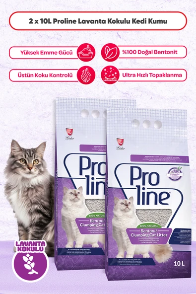 Pro Line Lavanta Kokulu Kedi Kumu 10 Lt x 2 Adet - 1