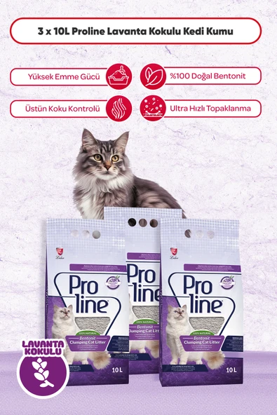 Pro Line Lavanta Kokulu Bentonit Kedi Kumu 10 Lt X 3 Adet