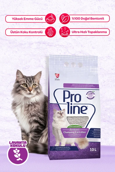Pro Line Lavanta Kokulu Bentonit Kedi Kumu 10 Lt
