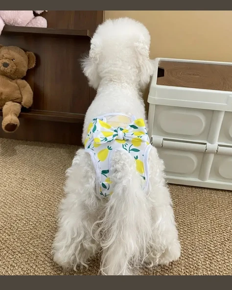 Yeniden Kullanılabilir Ayarlanabilir Köpek Bezi Pantolonu – Limon Yaprağı Desenli, Nefes Alabilen & Konforlu