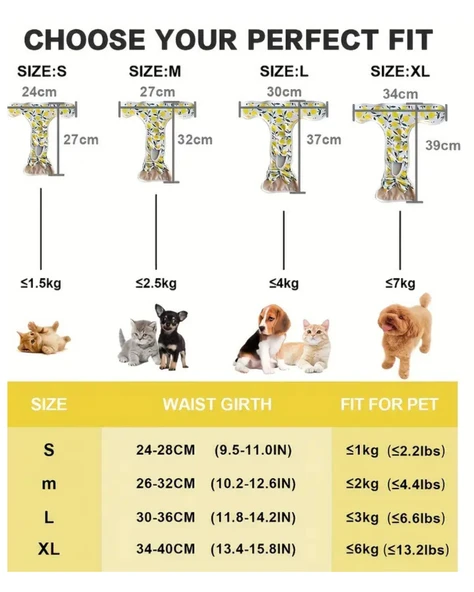 Yeniden Kullanılabilir Ayarlanabilir Köpek Bezi Pantolonu – Limon Yaprağı Desenli, Nefes Alabilen & Konforlu - 4