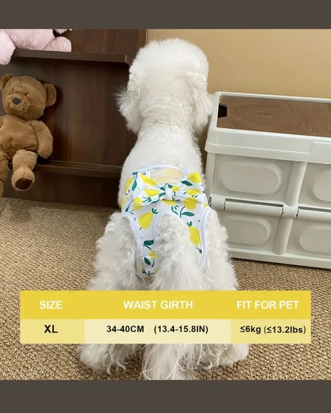 Yeniden Kullanılabilir Ayarlanabilir Köpek Bezi Pantolonu – Limon Yaprağı Desenli, Nefes Alabilen & Konforlu - 7