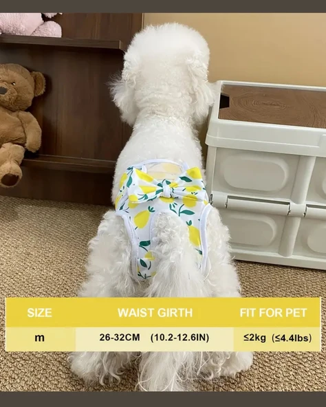 Yeniden Kullanılabilir Ayarlanabilir Köpek Bezi Pantolonu – Limon Yaprağı Desenli, Nefes Alabilen & Konforlu - 6