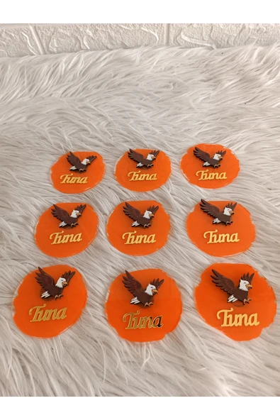 Doğrukan Hediyelik 10 Adet Kartal Figürlü Pleksi Magnet Yenidoğan Doğum Günü Mevlüt Hediyelikleri - Resim 3