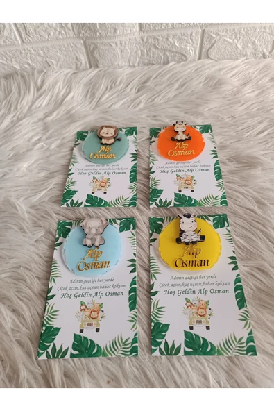 Doğrukan Hediyelik 10 adet karışık hayvan figürlü safari pleksi magnet hediyelik yenidoğan doğum günü hediyelikleri