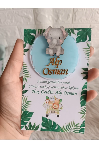 Doğrukan Hediyelik 10 adet karışık hayvan figürlü safari pleksi magnet hediyelik yenidoğan doğum günü hediyelikleri - 3