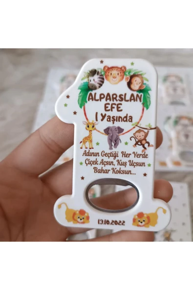 Doğrukan Hediyelik Safari konsept yenidoğan doğum günü açacak hediyelik magnet kartlı(10 adet) ürün görseli