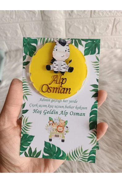 Doğrukan Hediyelik 10 adet karışık hayvan figürlü safari pleksi magnet hediyelik yenidoğan doğum günü hediyelikleri - 2