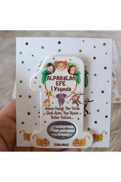 Doğrukan Hediyelik Safari konsept yenidoğan doğum günü açacak hediyelik magnet kartlı(10 adet) - Resim 2