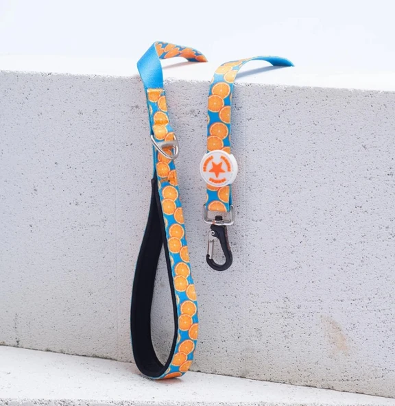 Pawstar Citrus Köpek Gezdirme Kayışı 120 cm x 2 cm - 1
