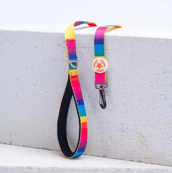 Pawstar Rainbow Köpek Gezdirme Kayışı 120 cm x 2 cm ürün görseli
