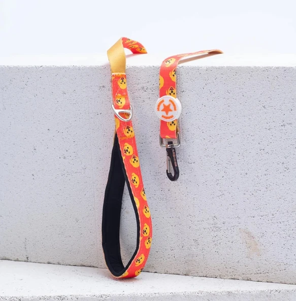 Pawstar Poodle Köpek Gezdirme Kayışı 120 cm x 2 cm - 1