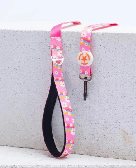 Pawstar Daisy Köpek Gezdirme Kayışı 120 cm x 2 cm - 1