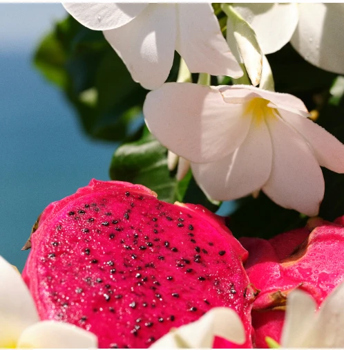 Sol De Janeiro Sol De Janerio Brazilian Crush Cheirosa 68 Perfume Mist 90 ml - Resim 3