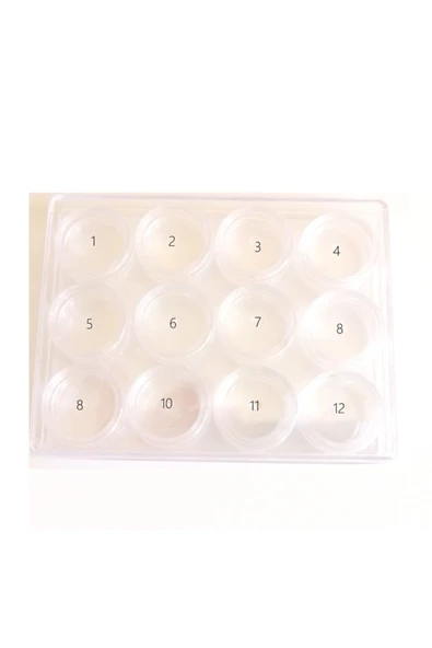 Kapaklı Şeffaf Plastik Hokka Büyük boy  (12 Adet) - Resim 2