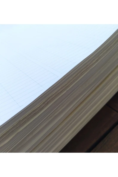 Italik Kaligrafi Defteri-ıtalik Defter-yazı Defteri (YATAY DİKEY ÇİZGİLİ-MAT KUŞE)-defolu - Resim 4