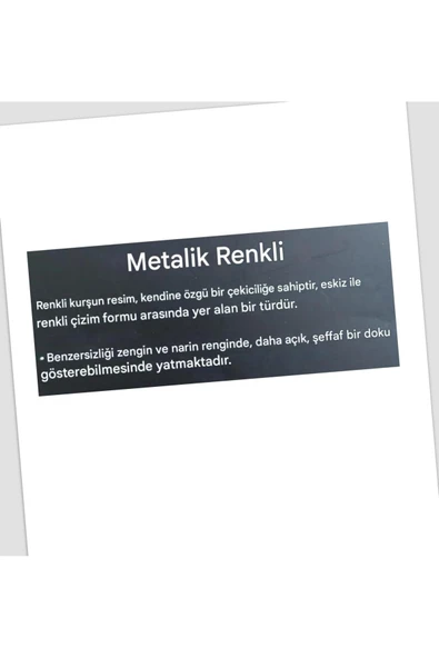 Kara Kalem Çizim Seti Metalik 12 Renk Kalem Çizim Set, Parlak Eskiz ve Tonlama-12li - Resim 4