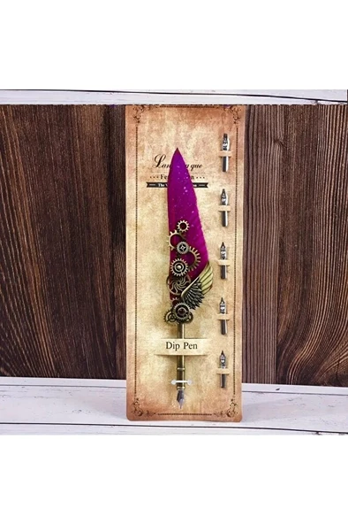 Kaligrafi tüy divit kalem seti, yazı kalem seti, retro dekoratif kalem metal, 1 kalem 6 uç-Mor renk ürün görseli