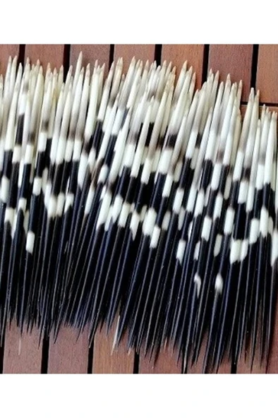 Kirpi Dikeni-kirpi Oku-orta Boy (15-19.99CM ARASI) 1 Adet-rölyef Sanatına Uygun - Resim 2