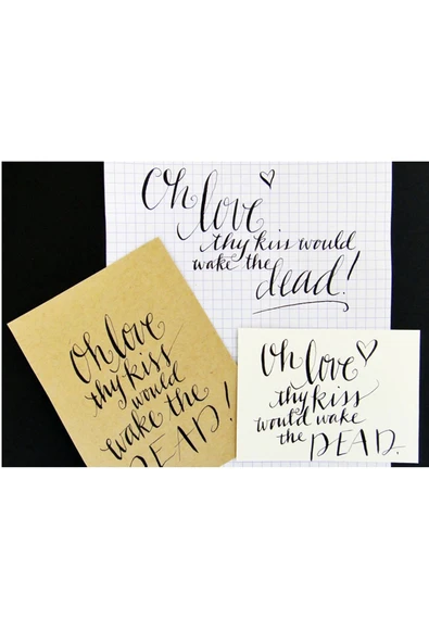 Zebra G Nib copperplate divit uç, gölge yazı. çizim ucu-tarama uç-1 Ad - Resim 3