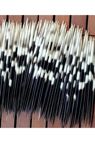 Kirpi Dikeni-kirpi Oku- Büyük Boy (21-26 CM ARASI) Rölyef Sanatına Uygun - Resim 4