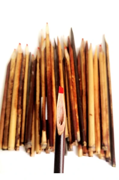 Kamış Kalem Naturel- Orta Boy 18-24cm (1 Adet) ürün görseli