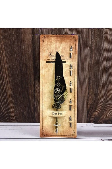Kaligrafi tüy divit kalem seti, yazı kalem seti, retro dekoratif kalem metal, 1 kalem 6 uç-Siyah ürün görseli