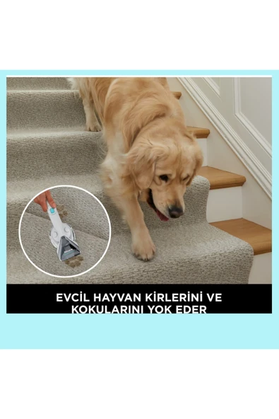 Shark Taşınabilir Halı ve Koltuk Temizleme Makinesi - Resim 7