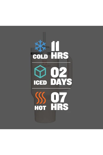 Stanley Quencher H2.0 FlowState Paslanmaz Çelik Vakum Yalıtımlı Bardak 40 oz 1,18 Lt Rose Quartz - 6