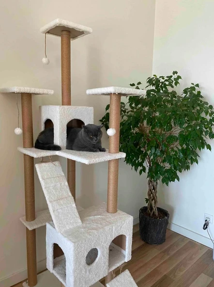 Cat City Rezidans Kedi Tırmalama ve Oyun Evi Çok Fonksiyonlu - Resim 3
