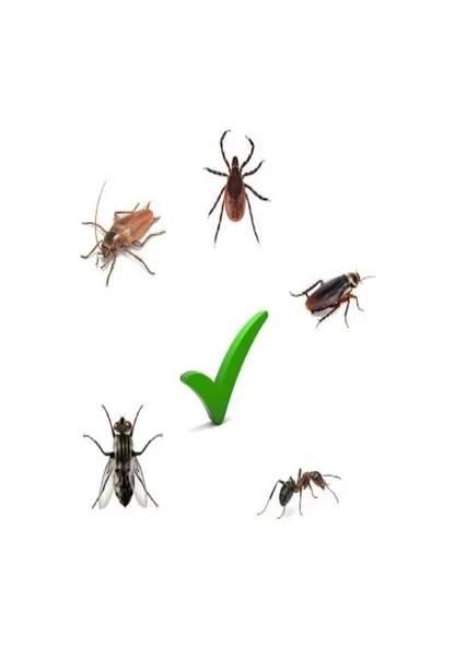 Syngenta Icon 10 CS Genel Haşere İlacı 20 ML - Resim 3