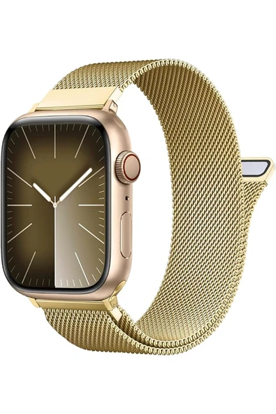 Apple Watch 9 8 7 6 5 4 3 2 Se 42mm/44mm/45mm/49mm Uyumlu Kordon Mıknatıslı Ayarlanabilir Metal