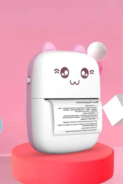 C9 Pembe Mini Yazıcı Taşınabilir Termal Yazıcı Kablosuz Bağlantı Ap Kontrol Cep Yazıcısı - 2
