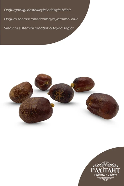 Adem Elması(Mekke Cevizi) Doğum ve Doğum Sonrası, Kadın Sağlığı, Sindirim Rahatlatıcı Ceviz 1 Adet - 6