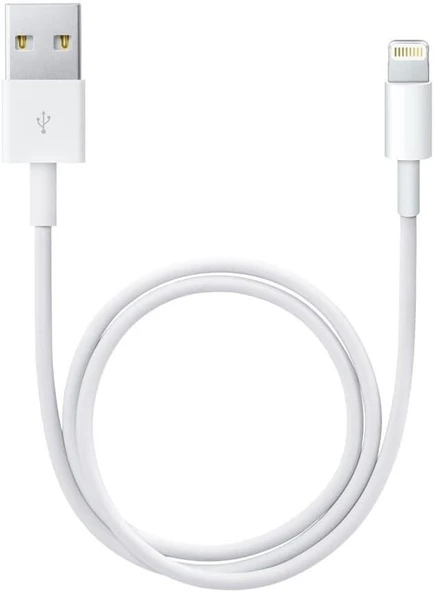 Apple MD819ZM/A Lightning USB Kablosu, 2 m