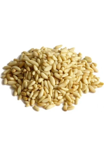 ANTEP MISIR ÇARŞISI Dolmalık Yer Fıstığı Doğal Katkısız Fıstık (100 GR)