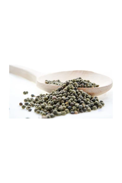 Beypazarı Bamya Tohumu 500 gr - 2