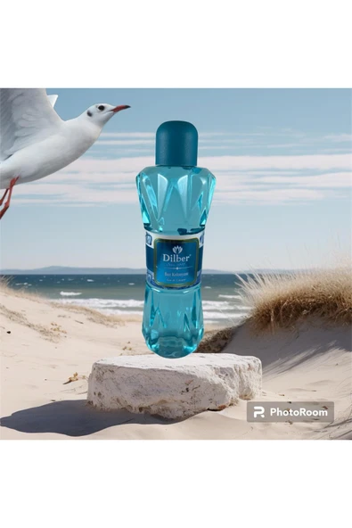 Dilber Buz Kolonyası 400 ml-pet şişe - 4