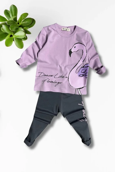 Flamingo Desenli Lila Renk Kız Çocuk Mevsimlik Taytlı Takım - 2
