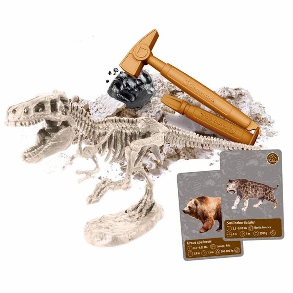 Clementoni Bilim ve Oyun: Dünya’daki Yaşamın Tarihi 64839 - Resim 2