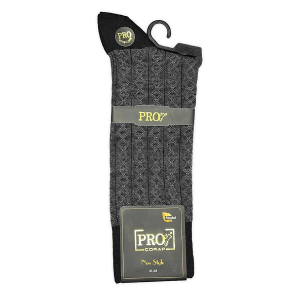 Pro Çorap Rambutan Modal Erkek Çorabı Antrasit (18132-R5) - Resim 2