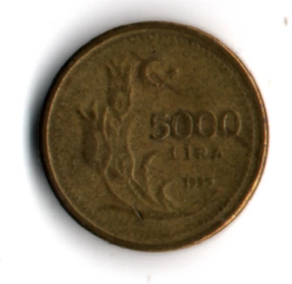 T.C. 5000 Lira 1995 (mp2050) - Resim 2