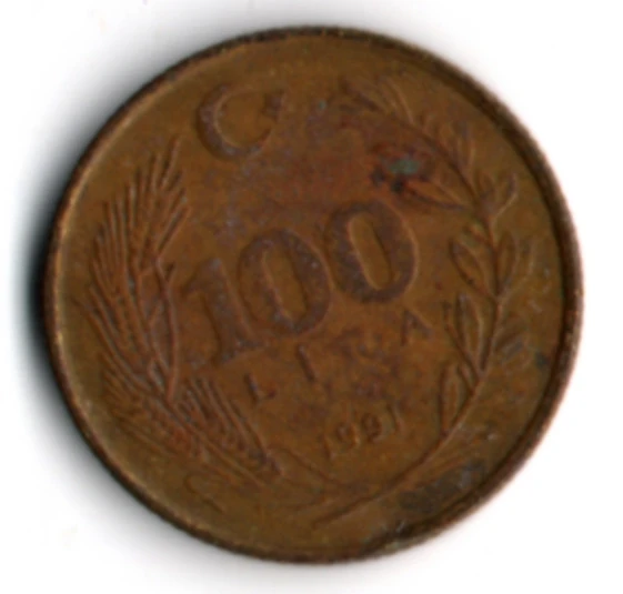 T.C. 100 Lira 1991 (mp2047)