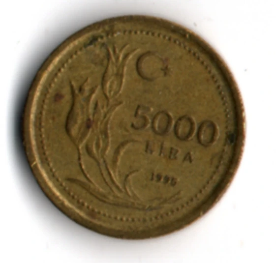 T.C. 5000 Lira 1995 (mp2046) - 2