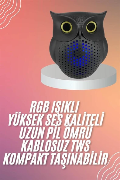 Müzik Çalar Bluetooth Hoparlör Speaker 5.0 Kablosuz Baykuş Görünümlü ürün görseli 1